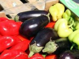 Σημαντική μείωση στην παραγωγή λαχανικών στη Ν. Ευρώπη, λόγω κλιματικής αλλαγής και λειψυδρίας