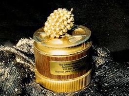 Χρυσά Βατόμουρα 2019 : Οι χειρότεροι της κινηματογραφικής χρονιάς