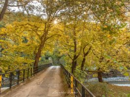Τοπικές βροχές και καταιγίδες σήμερα και αύριο με πτώση της θερμοκρασίας