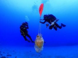 Αρχαία ναυάγια εντοπίστηκαν στον θαλάσσιο χώρο της Κάσου