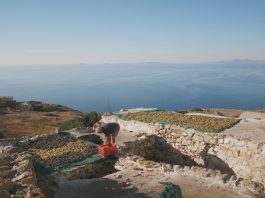 Cycladic Identity σε Δράση: Ενεργοποίηση Κοινοτήτων και Δημιουργία Αντίκτυπου