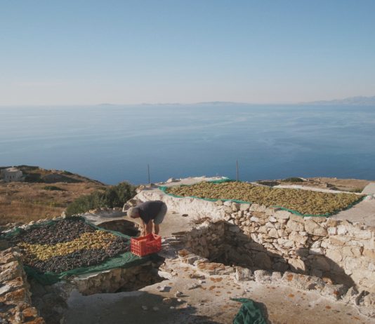 Cycladic Identity σε Δράση: Ενεργοποίηση Κοινοτήτων και Δημιουργία Αντίκτυπου