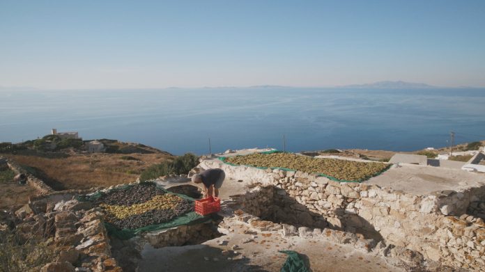 1. Anemon Productions © Μουσείο Κυκλαδικής Τέχνης