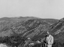 Δημήτρης Πικιώνης «Αισθητική Τοπογραφία»